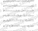 フルートアンサンブル作ります お好きな楽曲をフルートアンサンブルに編曲します！ イメージ4