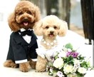 結婚時期・結婚相手・未来を複数占術でみます 理想の結婚生活へ導く♡四柱推命の総合鑑定＋一言メッセージ付き イメージ2