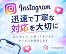 Instagramの外国人フォロワーを増加します 複数垢に振り分けのインスタフォロワー増加も対応！ イメージ9