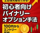 土日祝も！初心者向けバイナリー手法をご紹介します ✅ 土日祝も取引できる！初心者向けバイナリーオプション手法 イメージ1