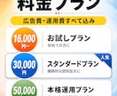 YouTube広告のターゲティング配信をします 年齢・興味関心で絞り込むYouTube広告運用代行します！ イメージ3