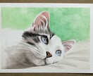 水彩であなたのペットの似顔絵を描きます Ａ5サイズの厚めの水彩紙にペットの似顔絵をリアルに描きます。 イメージ10