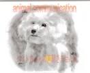 ペットちゃんとお話します ペットの本音を聞いてみませんか？ イメージ1
