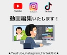 動画編集いたします YouTube、instagram、TikTok用に イメージ1