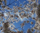 悩み、愚痴聞いてほしいことありましたらお聞きします 一人でストレス溜め込まないで。話すだけでもスッキリしますよ。 イメージ1