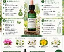 言葉にできない感情や苦しさを一緒に整理します フラワーレメディで絡まった感情やモヤモヤをほどいていきます イメージ6