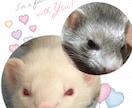 話したい方へ、好きなだけ話してください。 イメージ1