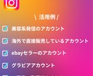 Instagramをリサーチします 副業・マーケ用ターゲット調査OK！リサーチ代行 イメージ4