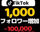 TikTokフォロワー✨＋1,000人✨増加します 高品質フォロワー！！1000人増やします イメージ1