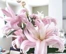 貴方に合った花を考えます 現役花屋が考えますので、季節に合った花などわかります。 イメージ1