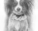 動物・写真から感動の一枚を制作します 「大切な家族の“今”を一枚の絵に」 イメージ8