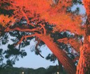 なんでも聞ききます 基本何でも聞きます！皆さんの力になれたらと思っています。 イメージ1