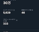 実績あり✨X／Twitter30日間運用代行します 知識＆実績ゼロ、顔出しナシOK✨プロにおまかせください！ イメージ4