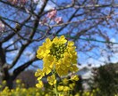 異性にモテるコツ教えます あなたの魅力UP、上手く相手に伝える事でモテる人になろう イメージ2