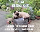 お子様のことを占います ○お子様の未来は？仕事、健康、結婚……どうなるの？ イメージ7