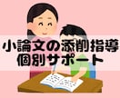 せんせいが小論文(公務員)の添削指導を行います 合格体験記の数は信頼の証！手厚いサポートが強みです。 イメージ1