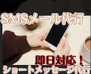 LINEやメッセージを代行して送ります あなたの代わりに、あなたの言いたいことを、SMSで相手へ！ イメージ1