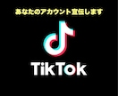 あなたのTikTokアカウントを宣伝します ストーリーのメンションを使いあなたのアカウントを紹介❗️ イメージ1