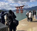 どんなご相談にも乗らせて頂きます 私は人生の中で培った圧倒的コミュ力があります イメージ1