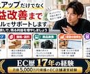 EC歴17年の経験でECショップを改善します 月商5000万円規模の運営経験から改善策を提案します イメージ4