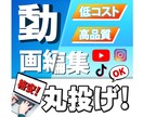 低コスト・高品質な動画を制作いたします 全ジャンル対応可能！高品質な動画を制作いたします！ イメージ1