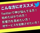 X・旧Twitterのインプレッションを増加します 振り分け可能！！インプレッションを10万増加します！ イメージ2