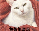 可愛いペットのお写真からデジタルアートを作成します デジタルデータ納品⭐︎画材選択可能(*´꒳`*) イメージ3