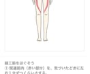 自律神経・心体・内臓バランスをグラフ化します なんとなくの不調・未病｜東洋医学・ヨガ・食事・筋肉ケア・経絡 イメージ10