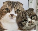 羊毛フェルトで世界に一つの愛猫犬アクセを作製します 世界に一つ　あなただけのオンリーワンをお楽しみ下さい♪ イメージ3
