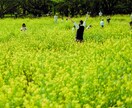 気持ちがスッキリするまで(^^)お話聞きます 気持ちのモヤモヤが分からない・少しでも解消したいあなたへ イメージ3