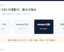 Amazonの売上最大化を支援します Amazon広告とSNS施策を連動させ、売上拡大へ導きます イメージ6