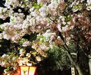 秘密厳守で何でも相談して下さい。親身にお聞きします どんな話も聞きますよー貴方のプラスワンに❗️ イメージ4