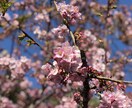 写真素材提供します 写真素材提供します。他にも多数場所あります。 イメージ2