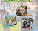 50mmスクエアマグネット・缶バッジ制作します お部屋を家族のギャラリーに。大切な一瞬を高品質なカタチに。 イメージ10