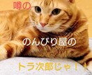 貴方の心の隙間…のんびり傾聴致します 3児のパパがのんびりと貴方様の心の隙間をカバー致します♪♪ イメージ3