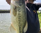 ブラックバスフィッシングの釣れる技術を伝授します ブラックバス釣りのプロが魚の釣り方やノウハウを伝授します。 イメージ2