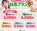 写真からLINEスタンプ用画像を作ります 人物・ペット・ぬいぐるみ写真に対応します イメージ8