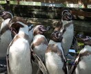 あなたにぴったり！国内旅行のプラン作成します 全国47都道府県をまわった旅行好きが充実した計画をご提案！ イメージ9