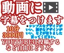 動画に字幕をつけます 動画に高品質な字幕をつけます！10分3000円です！ イメージ1