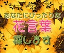 あなたにぴったりな花言葉選びます 可憐な見た目の花、堂々としている花。あなたの花は何かな？。 イメージ1