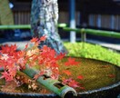 相談、雑談相手になります じっくりお話し聞きます。数分OK❗️ イメージ1