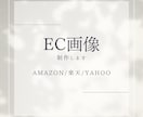 EC画像制作します 見やすく伝わる！売上につながる視覚的な導線設計 イメージ1