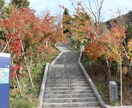 写真素材提供、福岡の風景・食べ物色々撮影します コロナ禍で旅行に行けない皆さん旅行気分を味わってみませんか？ イメージ4