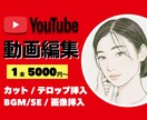 ユーチューバー応援！動画編集依頼を受けつけます 最短3日納品！お急ぎの方にピッタリ！ イメージ1