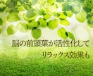 1時間集中チャット✨相談・雑談・愚痴受けとめます 初めてでも大丈夫✨モヤモヤ/恋愛/人間関係/育児/仕事/性 イメージ5