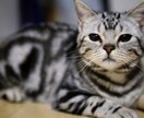 頭から離れないお相手の思考、代わりにお答えします 男性も女性もお気軽にどうぞ⭐︎ イメージ1