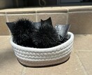 お部屋の雰囲気を何となく変えてくれるもの送ります 日々お忙しくしている方々の束の間の癒しになってくれます イメージ2