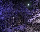 恋愛【片思い／複雑愛／復縁／同性愛】霊視で視ます 霊視でおひとつ 思念伝達・ヒーリング・ブロック イメージ1