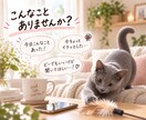 短時間専用ꕥ 今！この気持ち聞いて！をお聴きします ホントにどーでもいいけど誰かに話したい！ イメージ2