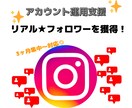 極上リアル！国内アカウント★フォロー支援します 3ヶ月集中コース～♪お試しキャンペーン価格！ イメージ1